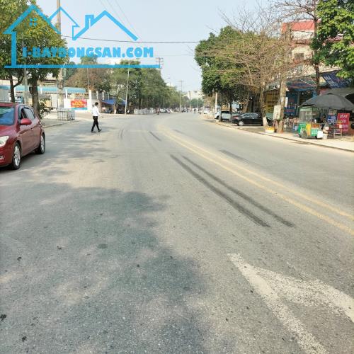 Cần bán lô đất đường Tôn Đức Thắng-Khai Quang-Vĩnh Yên - 2