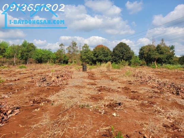 Nhà có công việc gấp cần bán lô đất trồng cây lâu năm - diện tích hơn 19.593m2 - 4