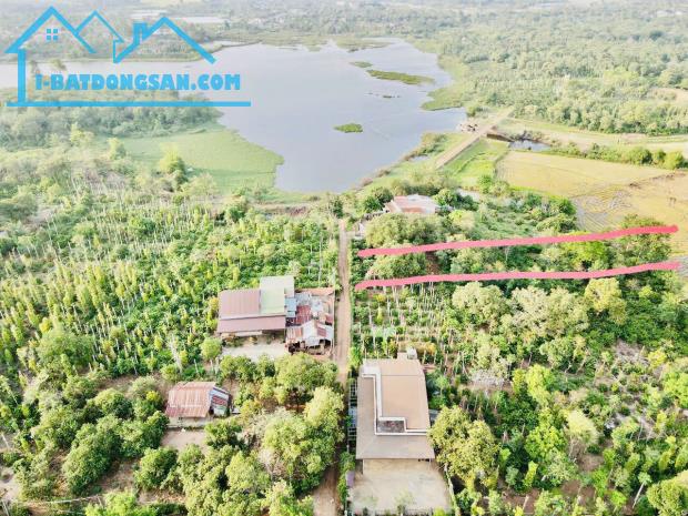 Bán Đất view Hồ và cánh đồng 859m2 có 160 Thổ Cư Tặng 800m2 Đất Ruộng. - 2