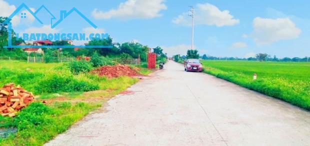 Đất Trục liên xã làng nghề Chuyên Mỹ -Phú Xuyên-Hà Nội