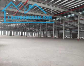 Nhà xưởng 3000m2 tại KCN Kim Thành giá 2,8Usd/m2, PCCC tiêu chuẩn - 1