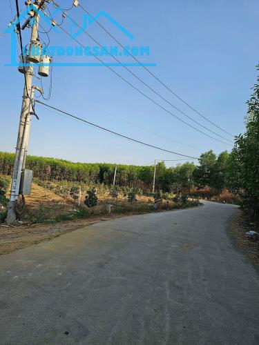 Bán 1000m đất đẹp xã Bình Lợi, Vĩnh Cữu. Đường betong 6m thông. Giá 2,7 tỷ - 2