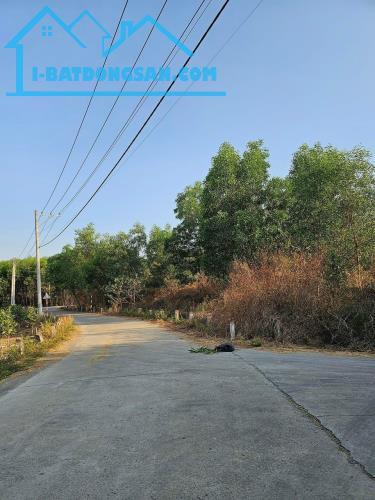 Bán 1000m đất đẹp xã Bình Lợi, Vĩnh Cữu. Đường betong 6m thông. Giá 2,7 tỷ - 1