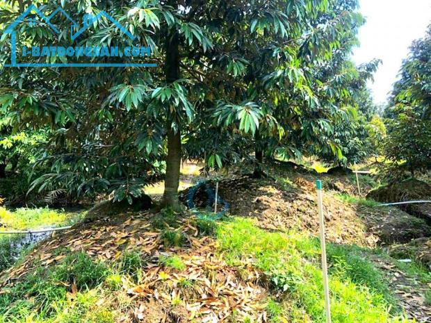 🪴🍃BỎ PHỐ VỀ VƯỜN SÁT HCM chỉ với 639 Triệu có ngay 1300m2 tại ĐN🌱🌳 - 1