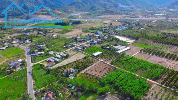 Lô đất QH full thổ cư 500m2 tại Suối Tiên - Diên Khánh, giảm giá hấp dẫn! - 4