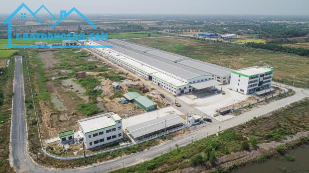 cho thuê đất 6000m2 đến 100.000 KCN trân anh ,huyên đức hòa - 1