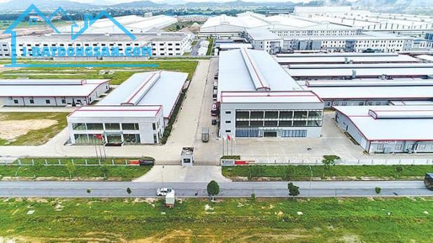 cho thuê đất 6000m2 đến 100.000 KCN trân anh ,huyên đức hòa - 3