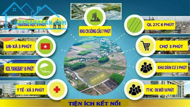 Mở bán 8 lô đất chn quy hoạch thổ cư đường bê tông khu dân cư xã Diên Tân Huyện Diên - 4