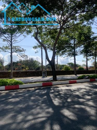 Cần bán lô đất đẹp mặt tiền đường Nguyễn An Ninh, TP Vũng Tàu, Giá đầu tư - 2