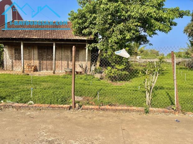 🌳🏡 "Khám Phá Khu Vườn Xanh Mát" 🏡🌳 Giá Chỉ 700TR/1000m2 Tại Đồng Nai! - 1