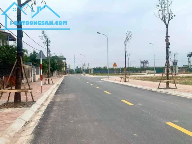 Bán đất Đấu giá Nam Hồng 83m2, mt5.5m, 5.3 tỷ Đông Anh. - 3