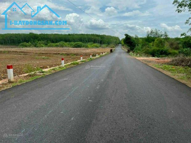 BÁN ĐẤT diện tích 13000m2 Hoà Hưng, Huyền Xuyên Mộc, tỉnh Bà Rịa - Vũng Tàu - 1