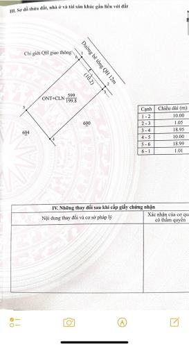 hẻm cấp 1 cuôr đăng đường rộng 12m bê tông đầu tư - 2