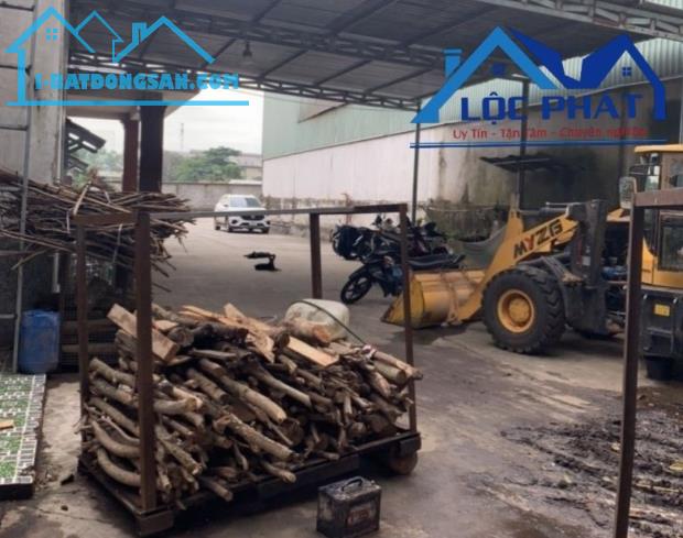 Bán xưởng tại Dầu Tiếng Bình Dương diện tích 11400m2 có dòng tiền 370 triệu/tháng