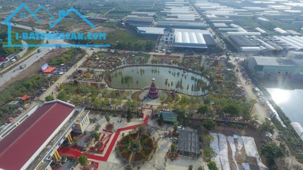 Bán mảnh đất 800m2 full thổ cư tại xã Xuân Quan, huyện Văn Giang, tỉnh Hưng Yên - 2