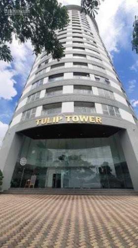 Cần bán căn hộ Tulip Tower 2 phòng ngủ, 2 WC .