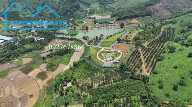 Bán gấp lô đất có diện tích 6200m2 trong đó có 200m2 thổ cư, còn lại là cây lâu năm - 5