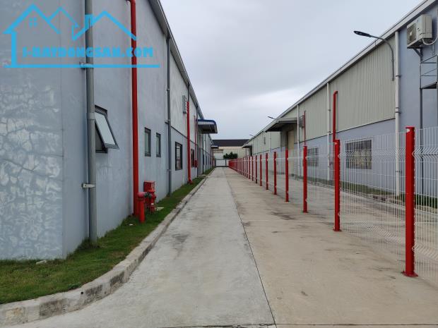 Cho thuê 11.000m2 kho xưởng mới trong KCN Mỹ Phước Gía rẻ nhất - 1