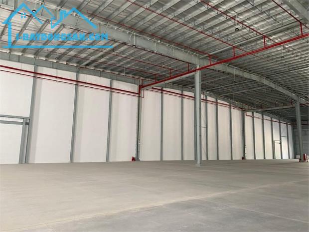 cho thuê kho vận hành logistic, lưu trữ hàng hóa. hạ tầng chuyên nghiệp. giao liền - 3