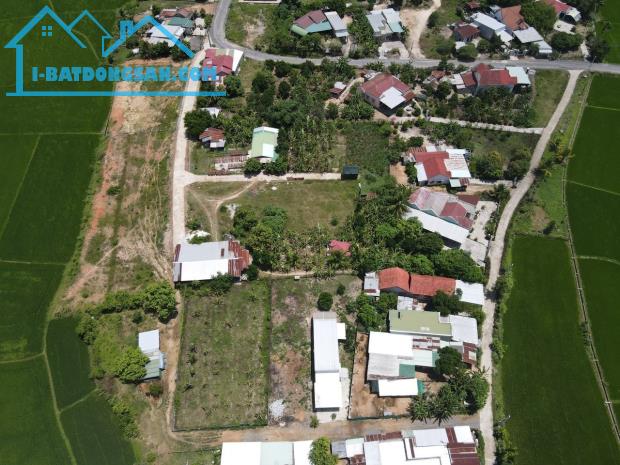 Bán đất Bình Lộc thôn Đảnh Thạnh giá rẻ rộng rãi xây nhà vườn - 3