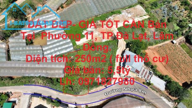 ĐẤT ĐẸP- GIÁ TỐT CẦN Bán Tại  Phường 11 ,TP Đà Lạt ,Lâm Đồng - 4