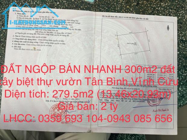 ĐẤT NGỘP BÁN NHANH 300m2 đất xây biệt thự vườn xã Tân Bình,Vĩnh Cửu