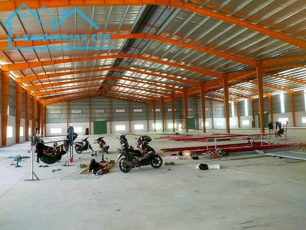 Cho thuê kho 10.000m² tại Châu Thành, Tiền Giang - Cont vào tới Kho.