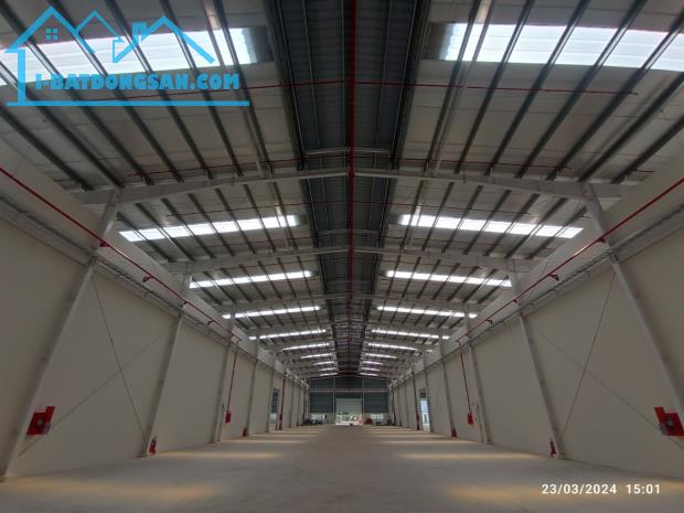 cho thuê xưởng mới xây 7000m2 pccc tự động KCN phú an thạnh - 4