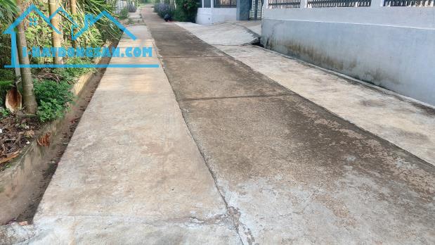 bán lô đất 510m khu dân cư đông đúc đường pê tông - 2