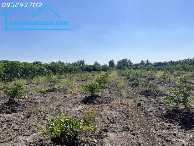Hàng ngộp giảm 300tr, lô đất vườn 1028m2 tại Thạnh Lợi, Bến Lức, Long An chỉ còn 870tr. - 3