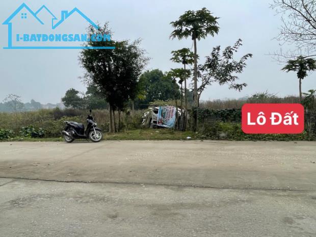 ĐẤU GIÁ XÃ THANH BÌNH - rẻ hơn thổ cư là có thật 
- diện tích 92m full thổ cư 
- đấu giá - 1