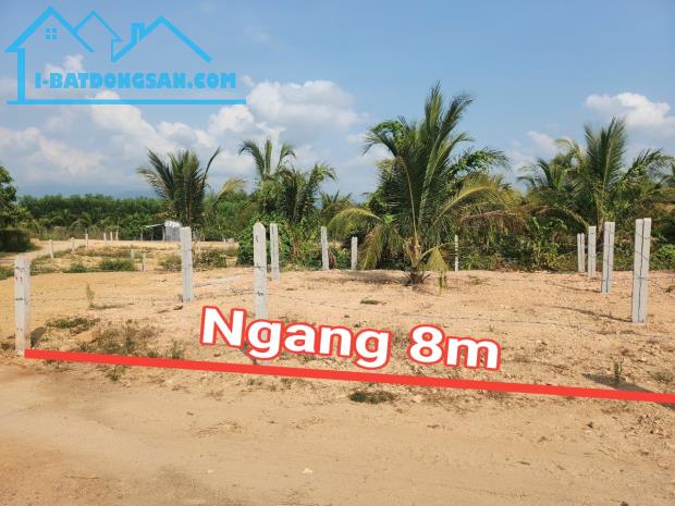 Bán đất Khánh Đông giá rẻ full thổ cư đường bê tông thông - 4