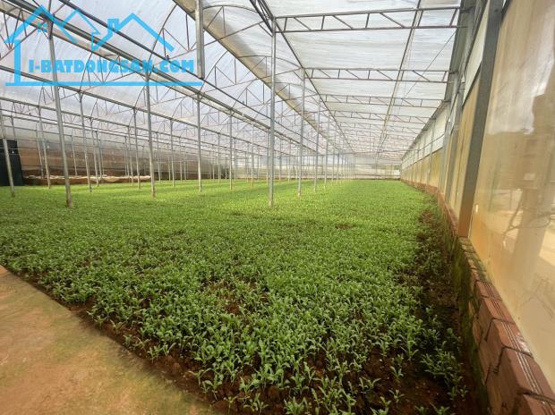 🏆Cần bán đất nông nghiệp đường Xuân Thành P11 diện tích 3037m2 giá 2,1tr/m - 2