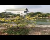 Bán Biệt thự vườn mặt tiền đường nhựa tại xã Thái Mỹ, Củ Chi diện tích 1500 mét vuông