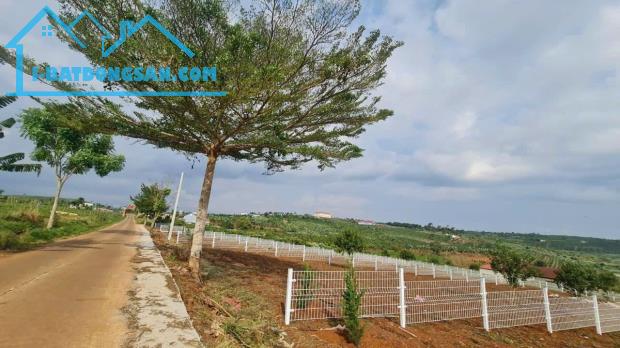 Chính chủ bán lô đất phù hợp làm farm tại Lâm Đồng đất có sẵn thổ cư