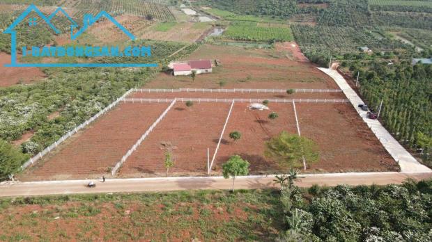 Chính chủ bán lô đất phù hợp làm farm tại Lâm Đồng đất có sẵn thổ cư - 1