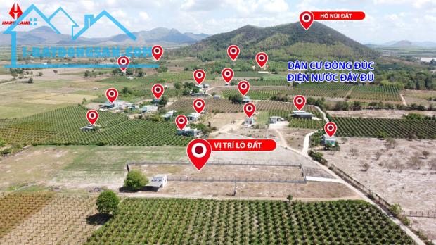 Bán 1000m2 đất Tân Tiến, thị xã LaGi GIÁ RẺ, SỔ RIÊNG, KDC HIỆN HỮU - 2