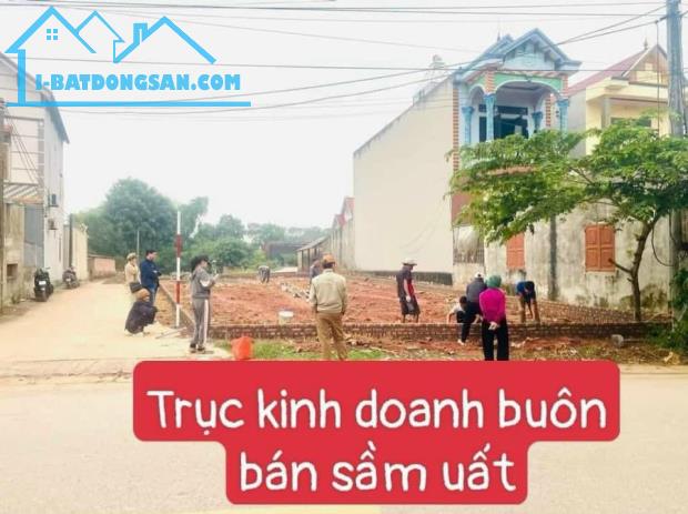 Bán đất ngõ ô tô tránh, vài bước ra đường quốc lộ, gần chợ, Sóc Sơn, 70M, nhỉnh 700tr - 1