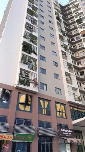 Chính chủ bán căn hộ: Happy Star Tower Mai Chí Thọ: Giang Biên: 77m2,  3PN,2wc - 5337113