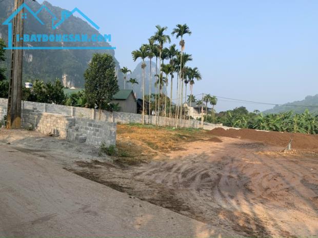 Bán 1500m đất Tân Vinh Lương Sơn- Hoà Bình - 5