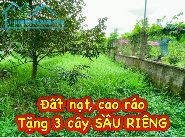 Nền Đẹp 5*21; Cách Chợ Vàm Xáng 350m, Lộ Ô Tô, Nhơn Nghĩa, Phong Điền - 1