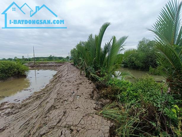 Chính Chủ Bán Đất  Mặt Tiền Ấp Long Bào - Xã Phước Lại - Huyện Cần Giuộc - Tỉnh Long An - 2