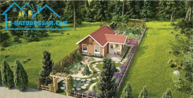 Sở hữu ngay đất nền 400m2 tại Pleiku - lô đất đẹp nhất cho CĐT - 1