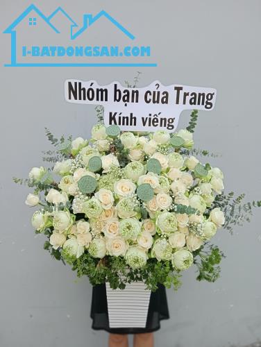 SHOP HOA LAN ANH – ĐA DẠNG MẪU MÃ – GIÁ RẺ NHẤT HỒ CHÍ MINH. LH:0707648172 - 1