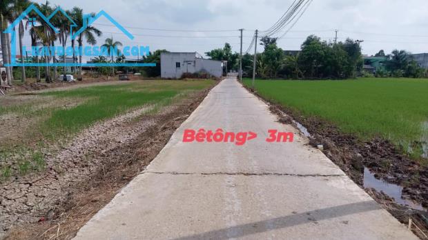 200m2 Thổ cư/ SHR ,Tân Bình, Tân Trụ, Long An - 2