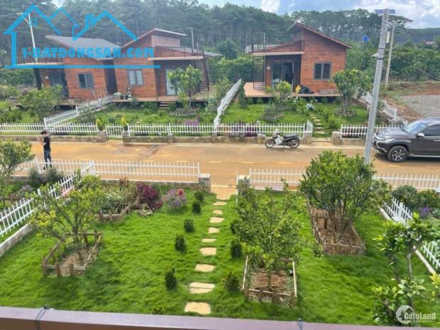 Cần bán đất khu village Biển Hồ Tp Pleiku giá tốt nhất thị trường - 1