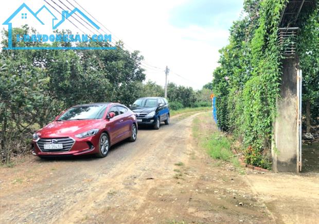 Bán vườn trái cây 1044m2 mặt tiền 28m, đường thông, sổ hồng riêng. - 1
