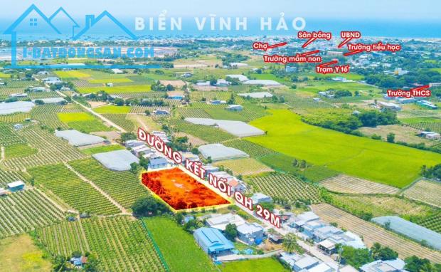 Đất biển Tuy Phong, Bình Thuận chỉ 8tr/m2 - Sổ đỏ thổ cư 100% - 1