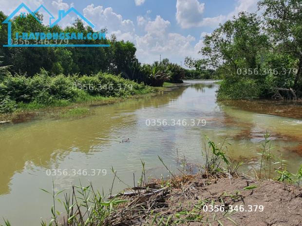 1,2 hecta đất vườn Nhơn Trạch ngay ngã 3 sông, gần khu du lịch Bò Cạp Vàng - 1
