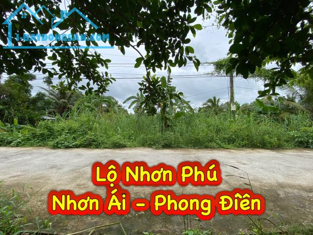 #249 || Đất Công 1487m2 Lộ Ô Tô, Mương Ngang, Nhơn Ái, Phong Điền. - 3